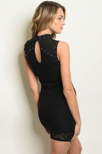 Black sleeveless mock neck lace bodycon dress.